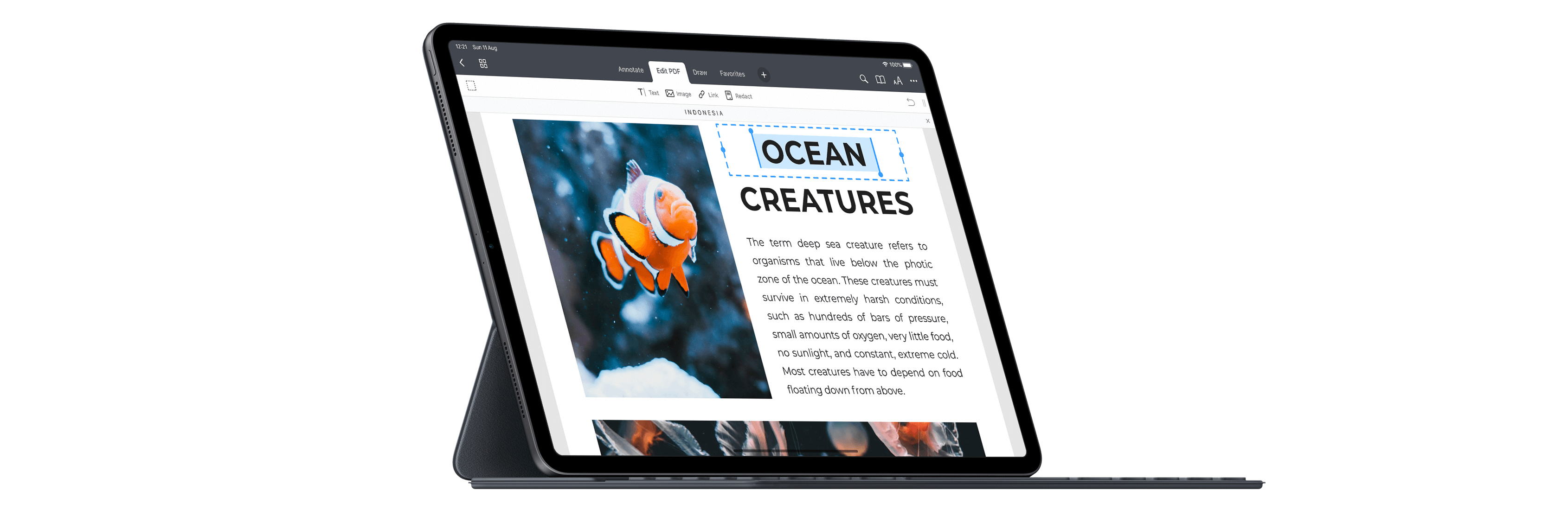 PDF Expert shared annotation interface with multi-reviewer comments on Mac